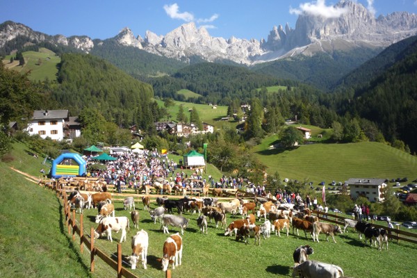 Almabtrieb